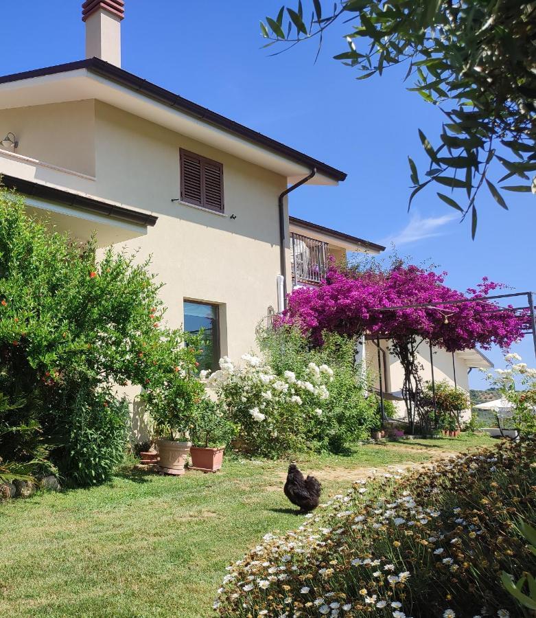 La Casa Di Stefania Daire Pollutri Dış mekan fotoğraf