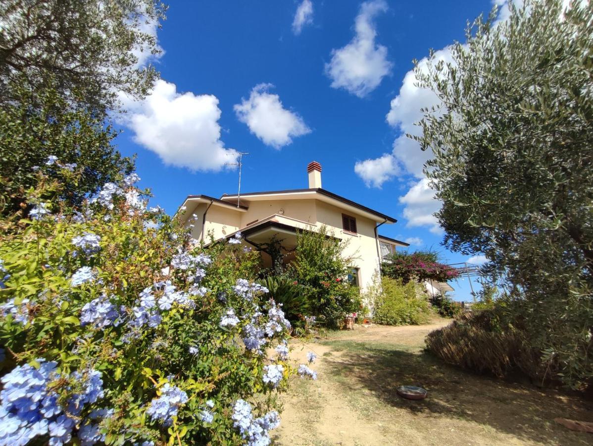 La Casa Di Stefania Daire Pollutri Dış mekan fotoğraf